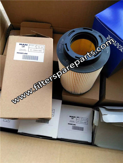 51.12503.0061 MAN Fuel Filter